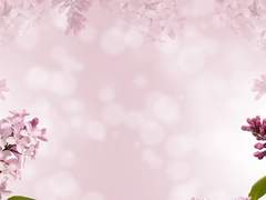 절 알고싶다구요?