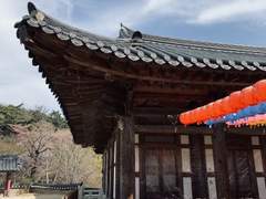 당신이 그리워 오늘 절을 찾았습니다.