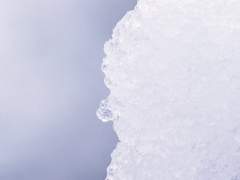 신중, 허세 부리지 않음, 청렴, 절조, 겸손한 마음,