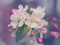 [아이나나/소고] 나의 모든 것을 당신에게