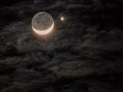 테네 자캐를 만들어 보았다