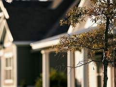 청약 부부 (세상 님 作) 발췌이미지