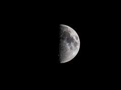 나의 절망속 안락 prologue.