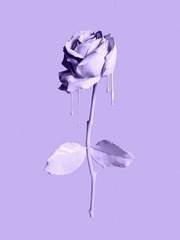 전독시x내스급 크오 그 별의 구원이란