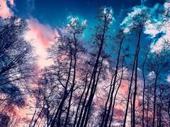 [보이스][강우권주]네가 혼자 남은 이곳.