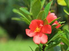 [명급리/준의] Answer