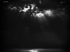 [자윤/what if] Paradise Lost(下)