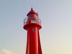 대포항 등대와 갈매기