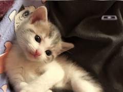 127막내 김여주 모먼트 EP.16