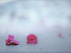 애정과 동시에, 불안정한.