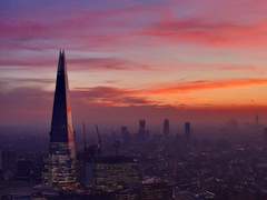 [공지] Scoop Study 목표와 소개