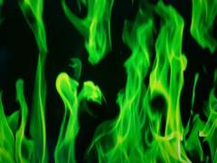 함부로 애틋하게