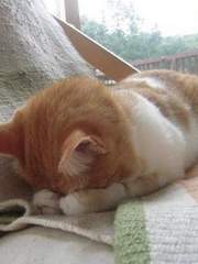 $밤밤이는 나만 미워해$