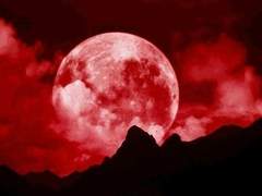 한밤중의 의식 下