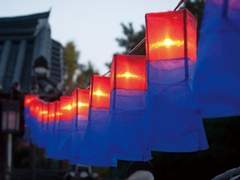 [시목동재] 춘분, 청명, 곡우