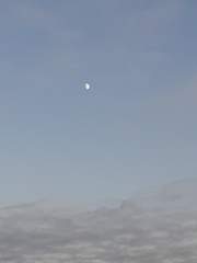 엘리시온 프로젝트(Elysion Project)