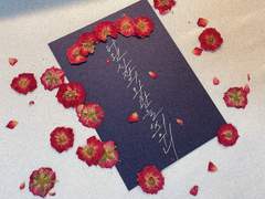 LION - (여자)아이들