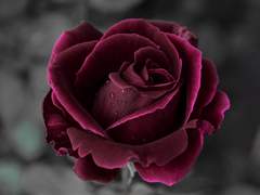 당신에게 다가가.