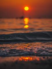 Noah Scarlet Dysnomia