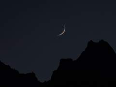 불운하고 불온한 존재가