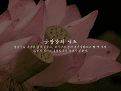 난장강의 사도 - 8