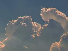 앨런 셰퍼드 프로필