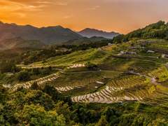 이장님과 사장님