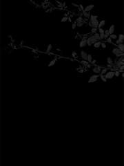 불행은 시작조차 하지 않았다