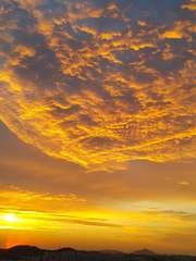 쿠로코의 농구 드림