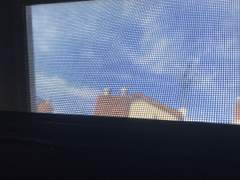 9월의 어느 몸이 아프던 날