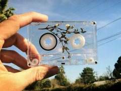 마지막 목소리는 이것으로 대신할게