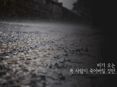 또, 비가 내리잖아.