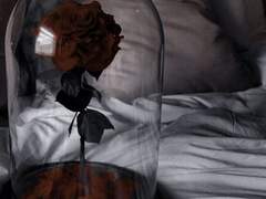 따라 내디딘 발, 어디든 향하여 두 걸음.