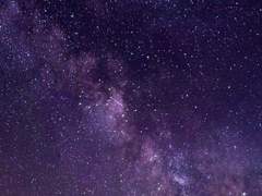 [ Estelle R. Kapit 에스텔 록사나 카핏 / 13세 / XX / 알로카시아 화인 ]