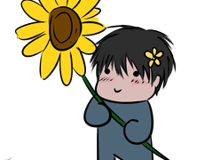 2020년 12월 (코알라)