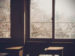 북극여우 관찰일기 18