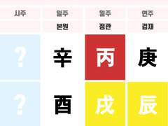 드리핀 황윤성 사주