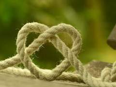 숨마쿰라우데 학원 39