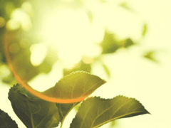 변화 시킬 수 있도록.