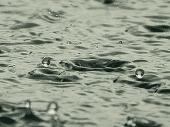 외로움에 대한 고찰