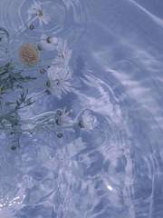 그때 내가 그 꽃집을 가지 않았었다면