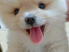 그대 눈빛은 너무나 따뜻해서 #16