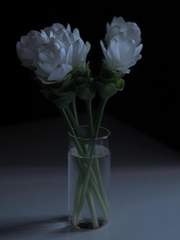 고요하게 살아남는 사랑