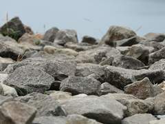 [마블] 어쩌다가 스파이