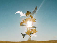 センチミリメンタル - 青春の演舞[청춘의 연무]_가사 번역