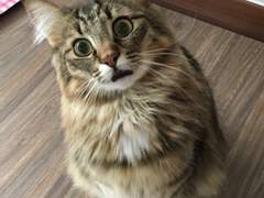 127막내 김여주 모먼트 EP.17