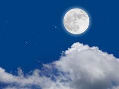 평화의 불을 올리고