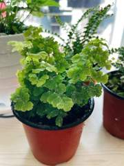 별일 없이 산다