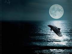 강을 오르는 고래 (깅기 님 作) 발췌이미지