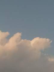 창작 단편 모음